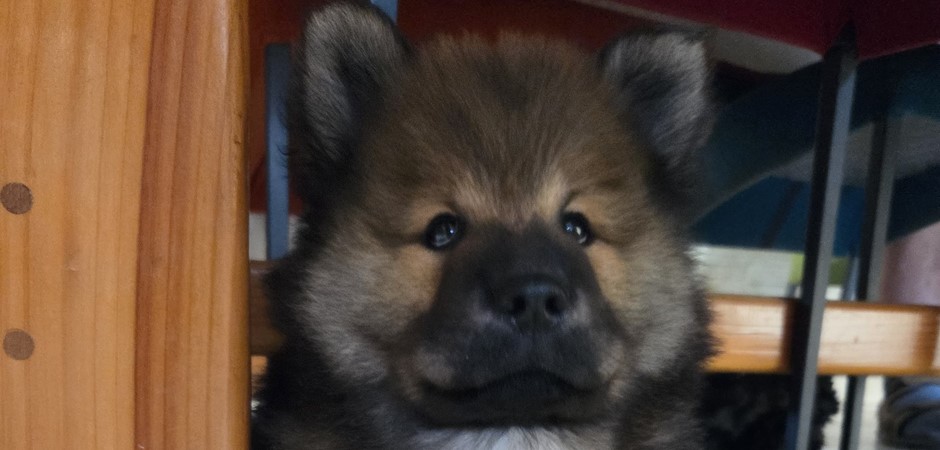 Aston 29-08-2025 (15).jpg