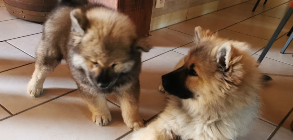 Groupe 28-09-2025 (2).jpg